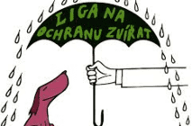 liga liga